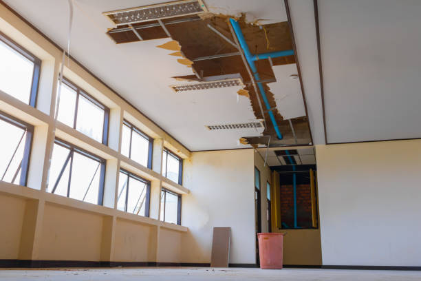 Best Water damage contractors near me  in Logan, IA