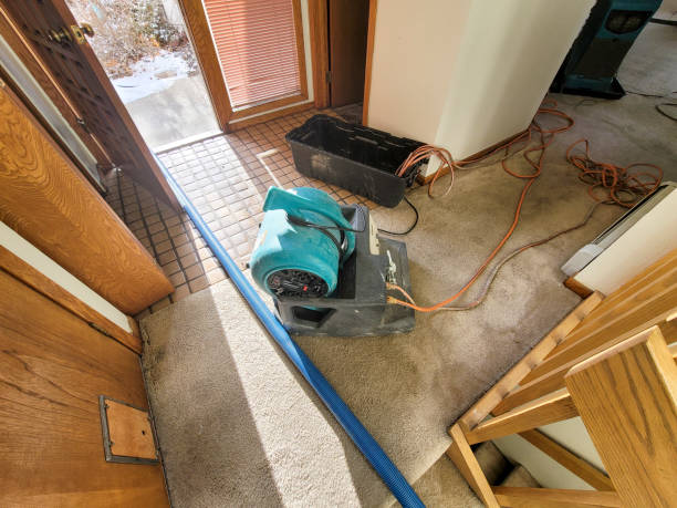 Reliable IA Water damage restoration Solutions