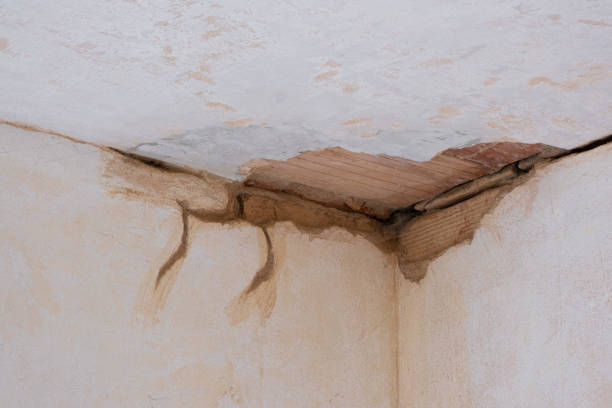 Best Water damage contractors near me  in Logan, IA