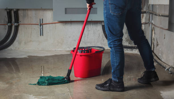 Water damage restoration experts in IA