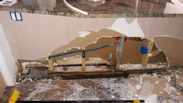 Best Ceiling water damage repair  in Logan, IA