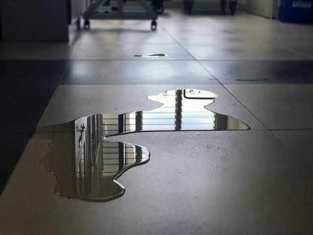 Best Carpet water damage restoration  in Logan, IA