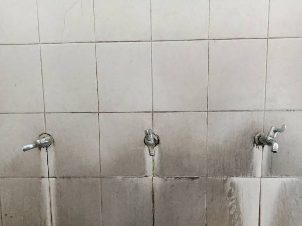  Logan, IA Water damage restoration Pros