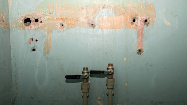 Best Flooded house restoration  in Logan, IA