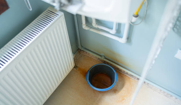 Best Flood restoration services  in Logan, IA