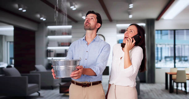 Best Water damage cleanup near me  in Logan, IA
