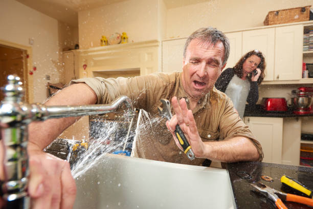 Best Water damage cleanup near me  in Logan, IA